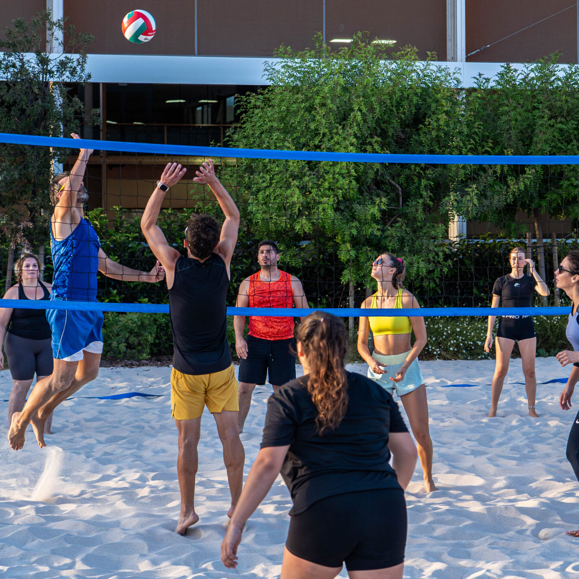 Voleibol